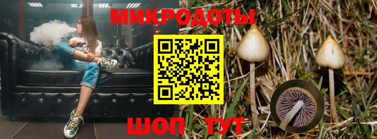 Галлюциногенные грибы Magic Shrooms  хочу   Ялуторовск  Вход с VPN 